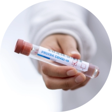 Urgence veterinaire