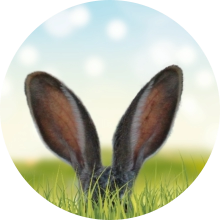 veterinaire de garde Bousval